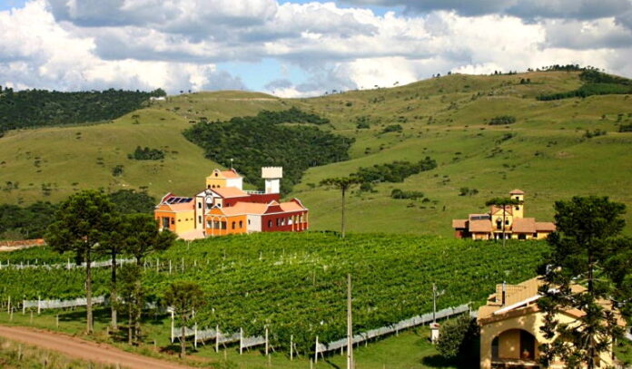 vinhos-de-altitude-leone-di-venezia-mesa-de-bar