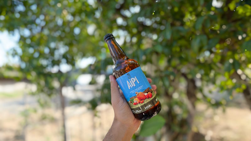 Lager com mandioca: Veja cervejas de projeto entre Colorado e 5 marcas –  ABAM