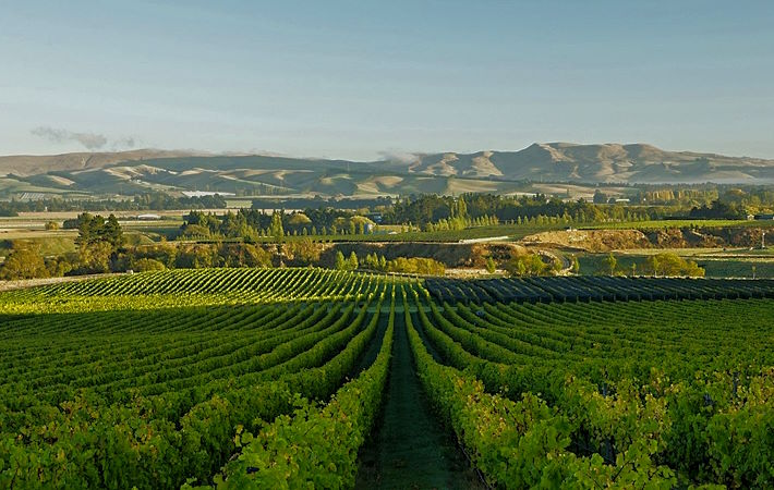 nova-zelandia-vinhos-mesa-de-bar5