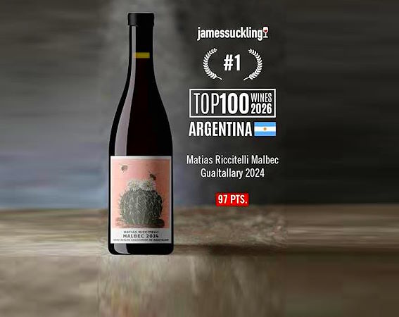 matias-riccitelli-malbec-gualtallary-mesa-de-bar3